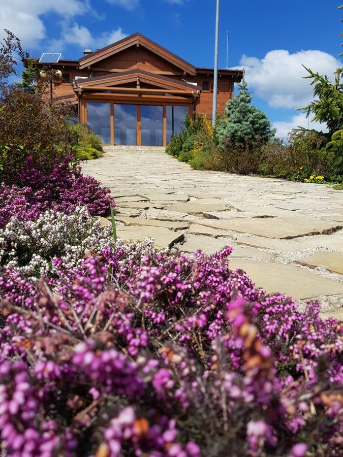 Sat De Vacanta Ciprian Porumbescu Сучава Экстерьер фото